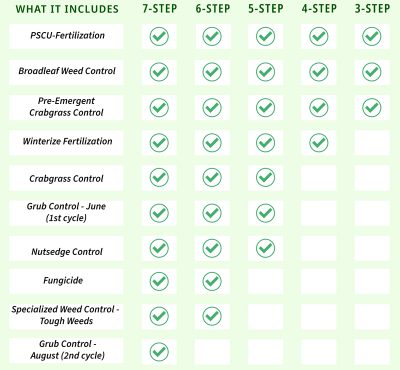 Turf Treatments, Lawn Spraying Services | Morin Landscaping